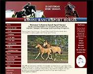 Ravine Ranch Sport Horses